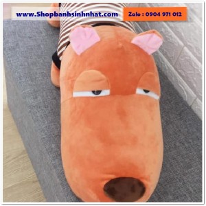 Gấu Bông Teddy Hàn Quốc - GAU23
